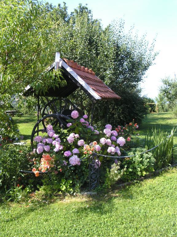Panorama B&B Ptuj Ngoại thất bức ảnh