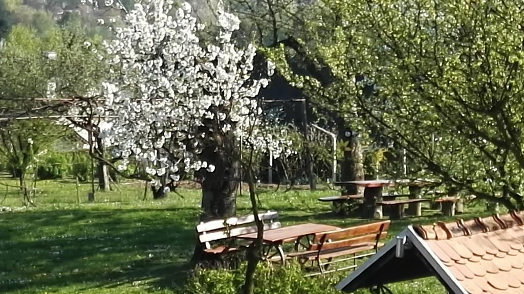 Panorama B&B Ptuj Ngoại thất bức ảnh