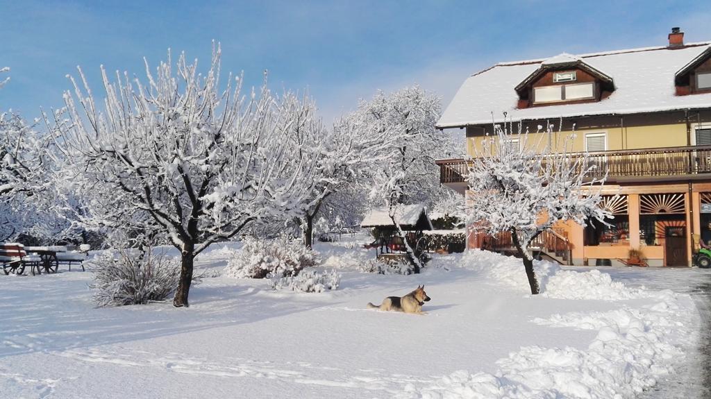 Panorama B&B Ptuj Ngoại thất bức ảnh
