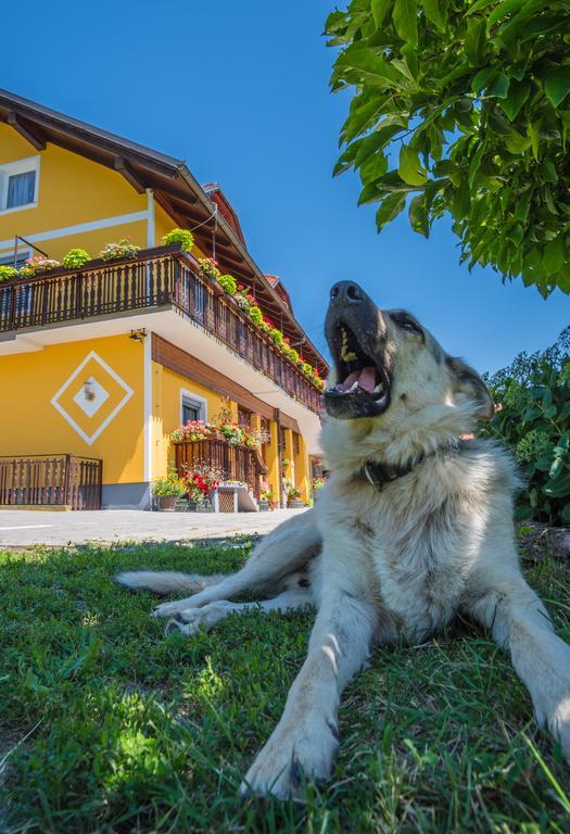 Panorama B&B Ptuj Ngoại thất bức ảnh