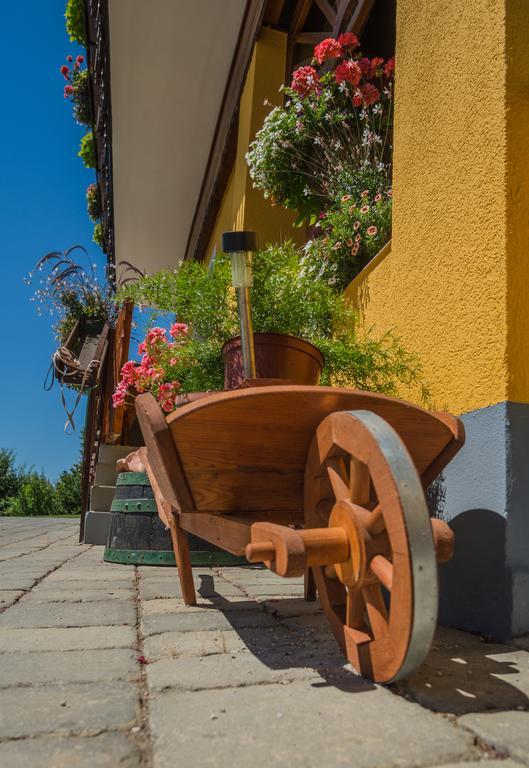 Panorama B&B Ptuj Ngoại thất bức ảnh