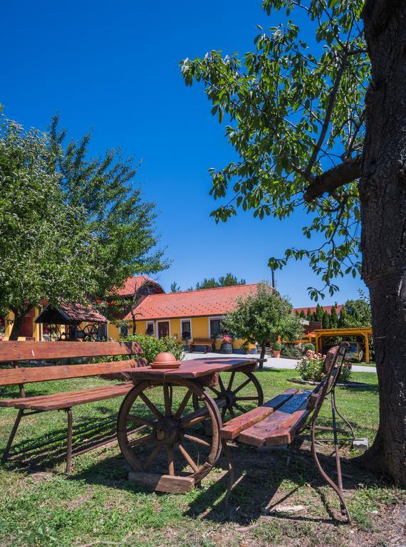 Panorama B&B Ptuj Ngoại thất bức ảnh