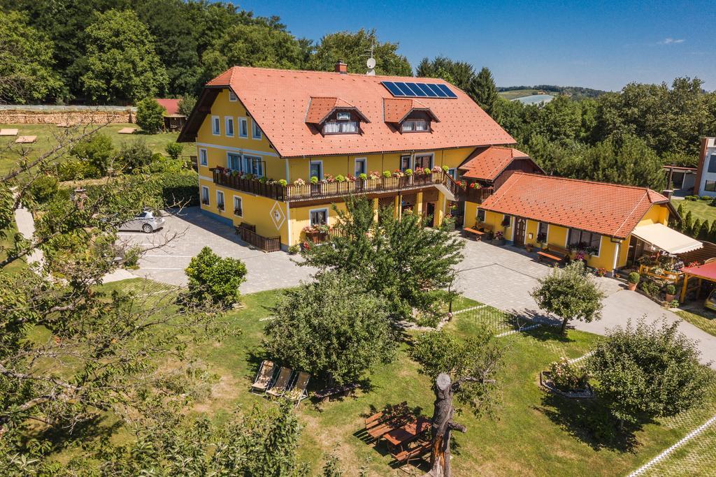 Panorama B&B Ptuj Ngoại thất bức ảnh