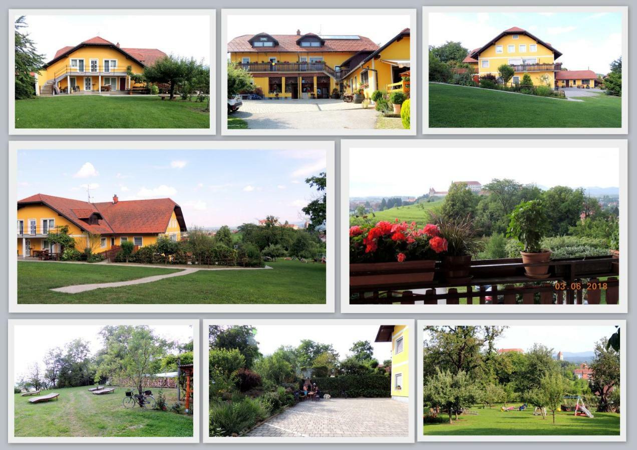 Panorama B&B Ptuj Ngoại thất bức ảnh