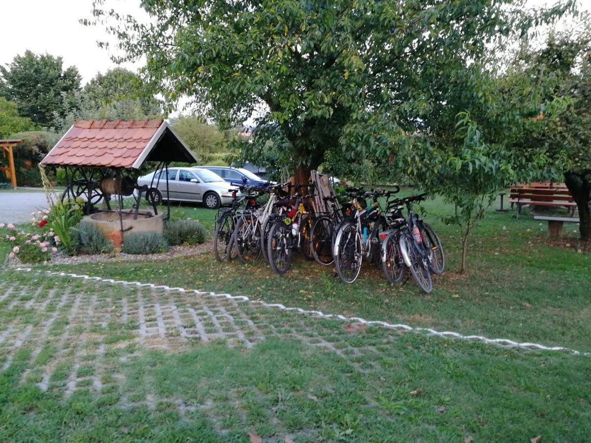 Panorama B&B Ptuj Ngoại thất bức ảnh