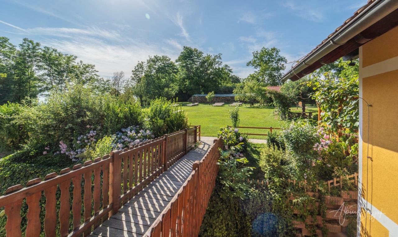 Panorama B&B Ptuj Ngoại thất bức ảnh